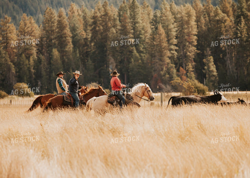 Ranchers in Pasture 66100