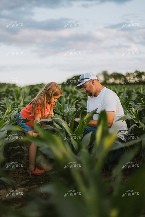 Farmer and Daughter Checking Corn 8807