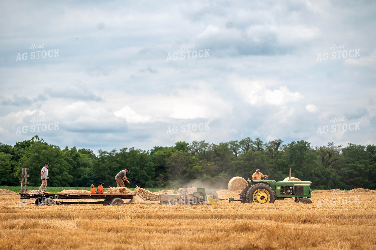 Baling Square Hay Bales 115797