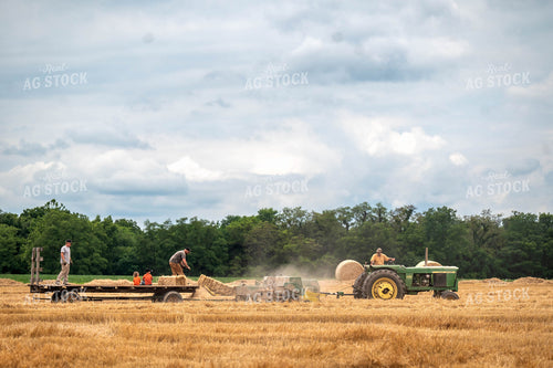 Baling Square Hay Bales 115797
