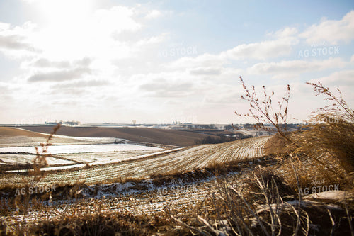 Iowa Farmland Winter with Terraces 3893