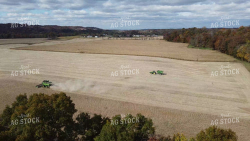Soybean Harvest 52683