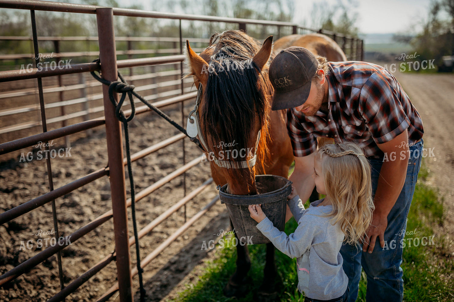 Rancher and Daughter Feeding Horse 285043