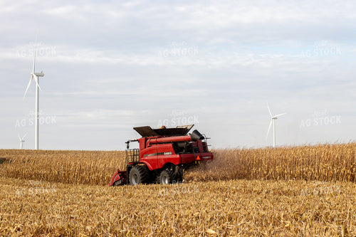 Combine Harvesting Corn 67147
