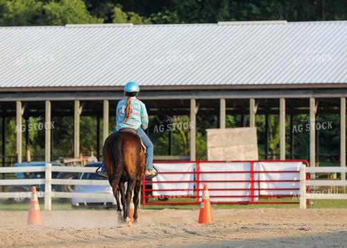 Equestrian Riding Horse 160072