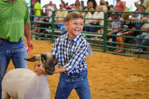 4H Kid Showing Sheep 52184