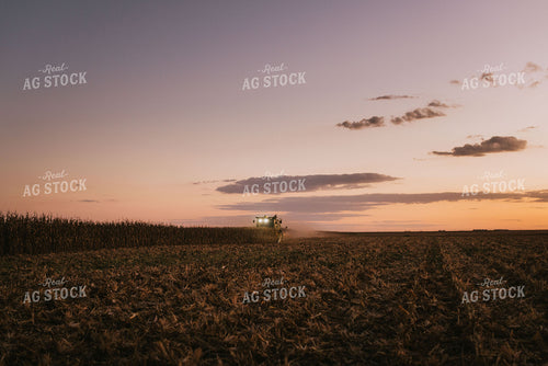 Corn Harvest 9412