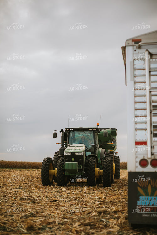 Corn Harvest 6594
