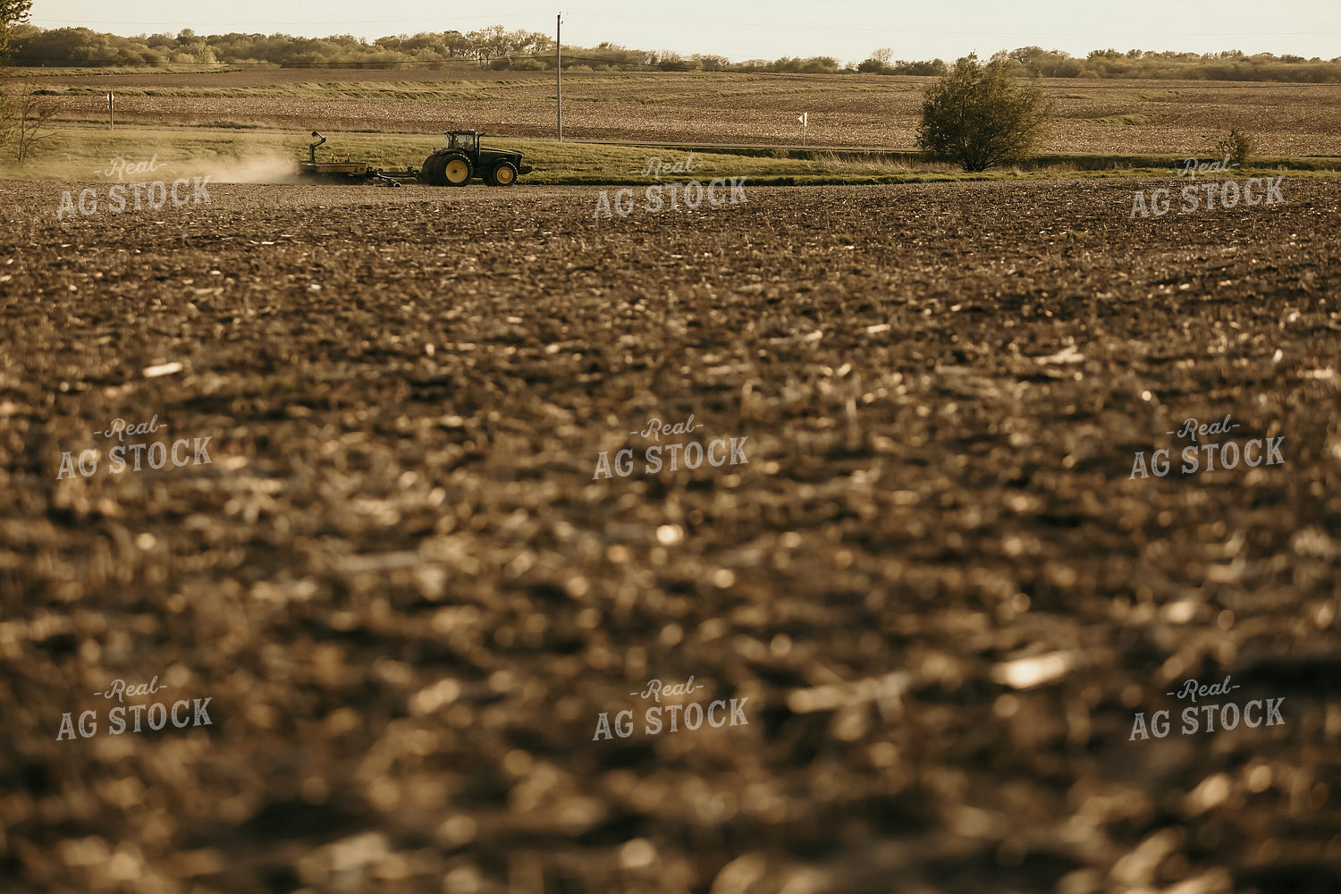 Planting 2853