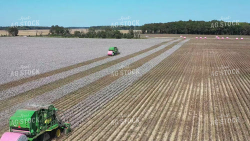 Cotton Harvest 79438