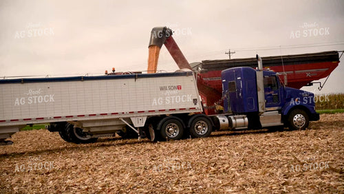 Grain Cart Unloading into Semi - 446