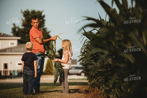 Farmer and Farm Kids Checking Corn Crop 4507