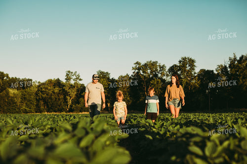 Farm Family Walking in Soybeans 6076