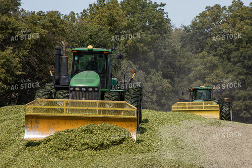 Packing Silage 272006