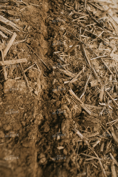 Planter Furrow on No-Till Ground 4027
