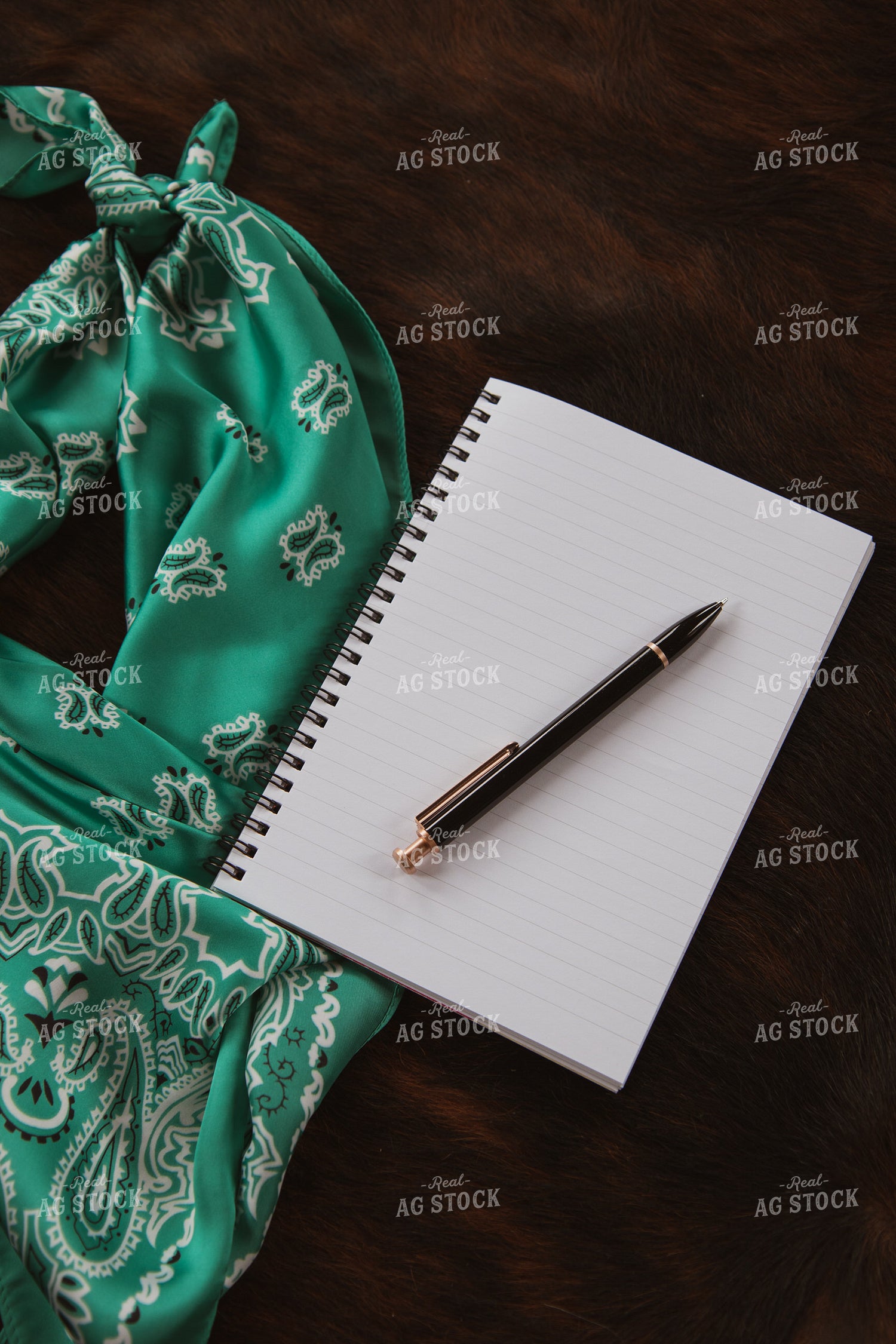 Office Stock 67885