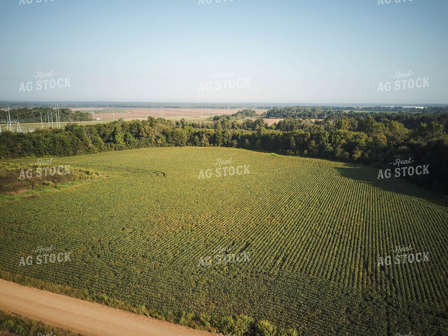 Aerial View of Farmland 79152