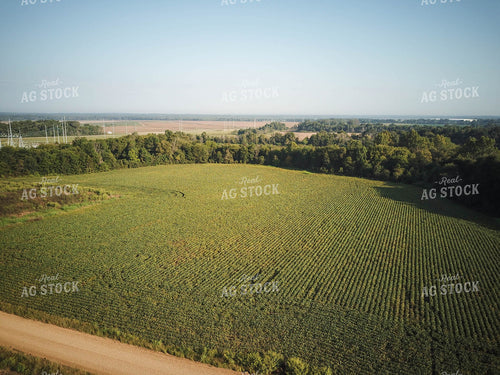 Aerial View of Farmland 79152