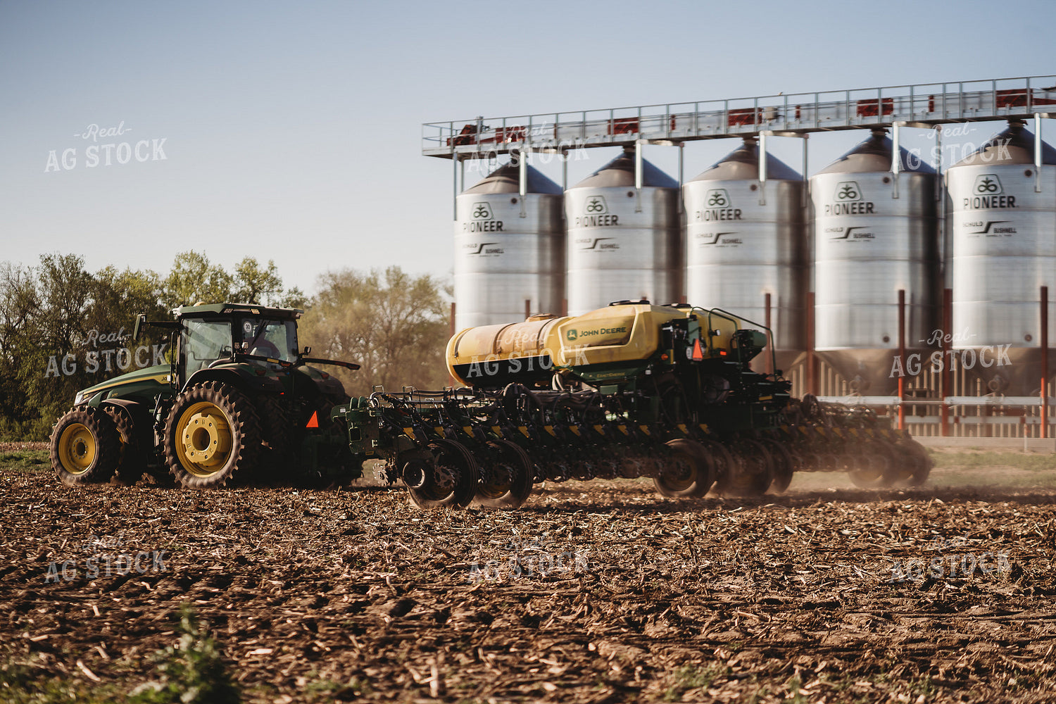 Planting 196141