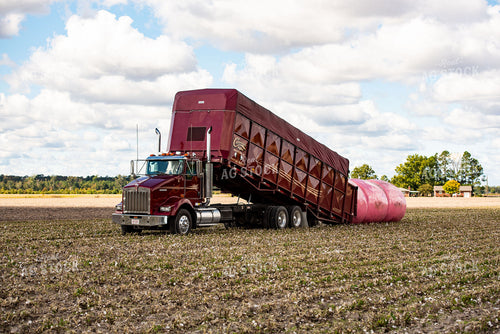 Loading Cotton Modules 136114