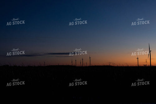 Farmland at Sunset 96029