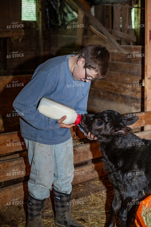Farm Kid with Bottle Calf 155571