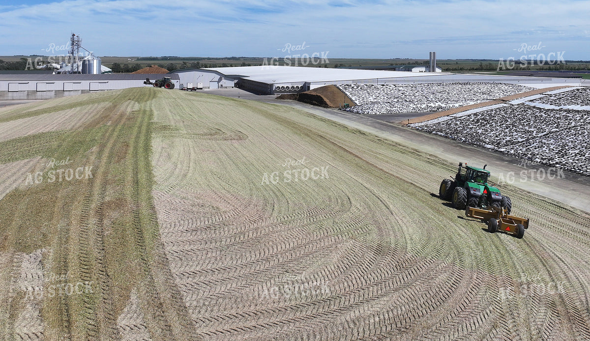 Silage Piles at Dairy Farm 141786