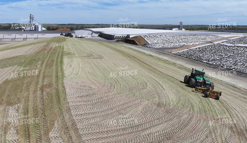 Silage Piles at Dairy Farm 141786