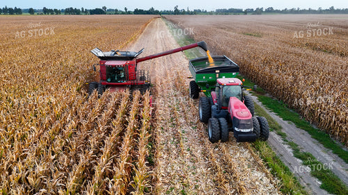 Corn Harvest 191270