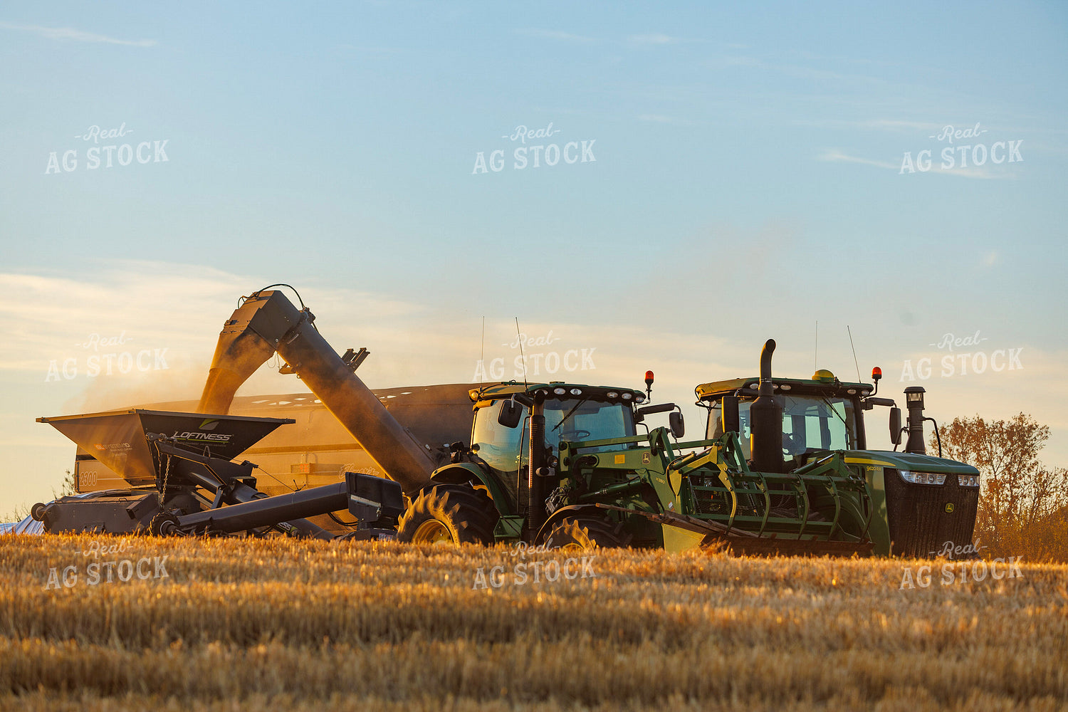 Wheat Harvest 187318
