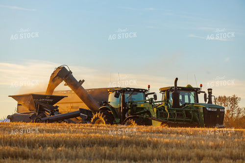 Wheat Harvest 187318