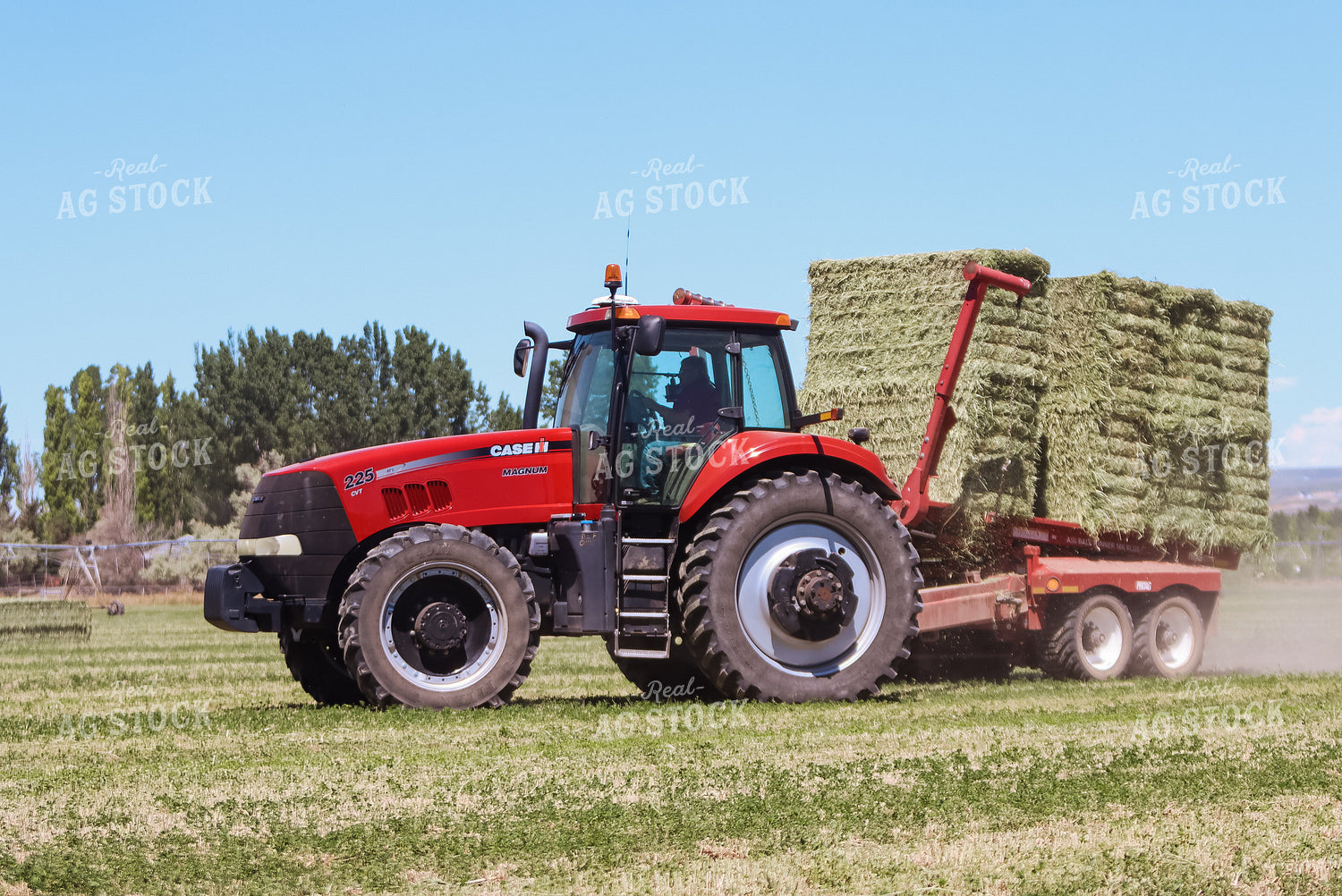 Gathering Square Bales 83035
