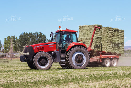 Gathering Square Bales 83035