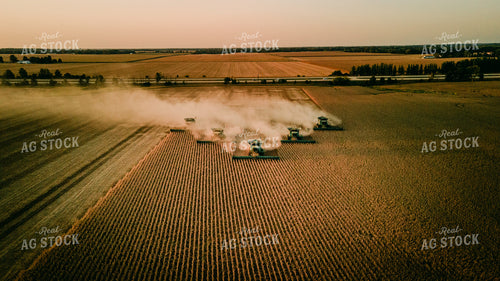 Soybean Harvest 9310