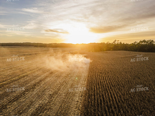 Aerial of Corn Harvest 115386