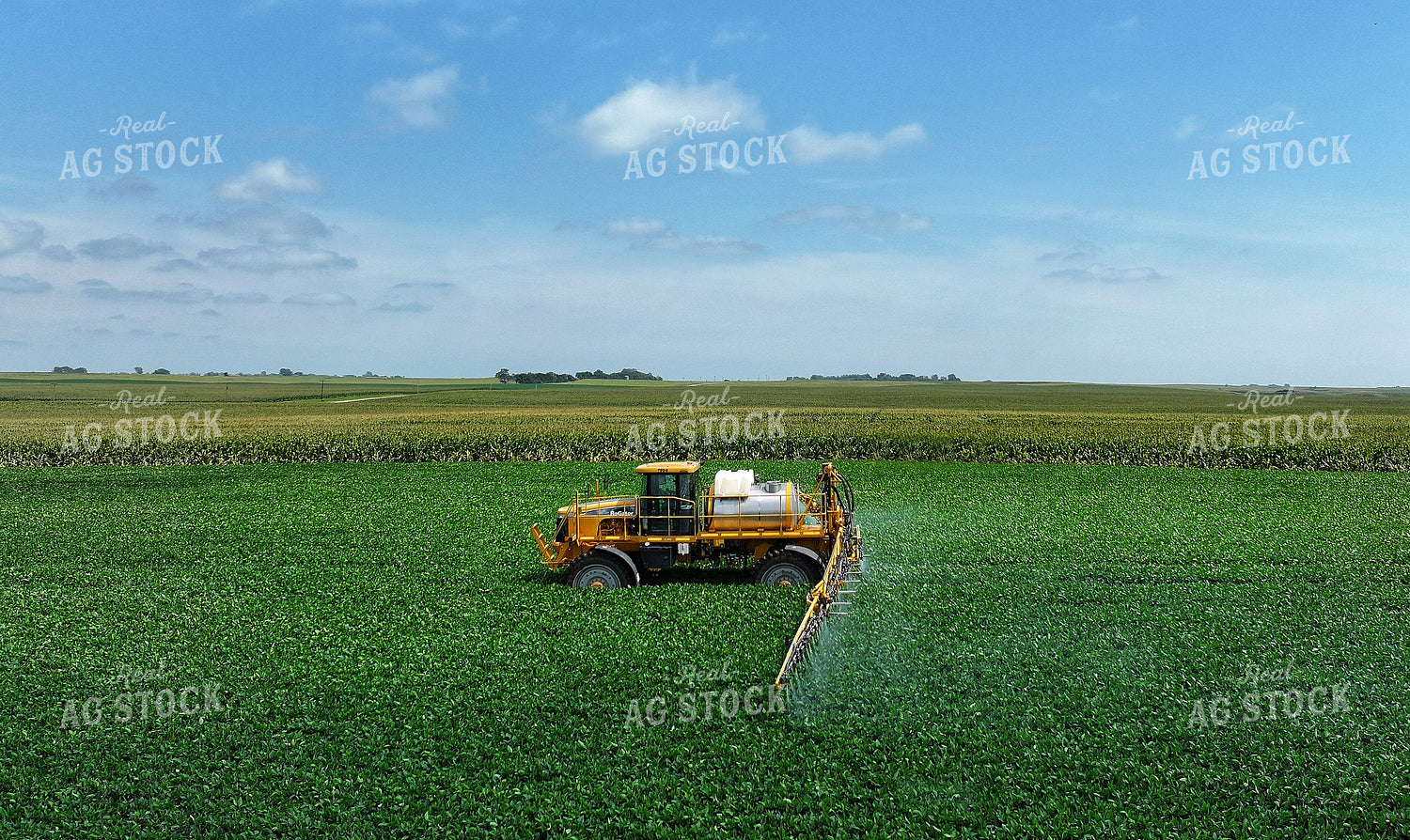 Spraying Corn 141376