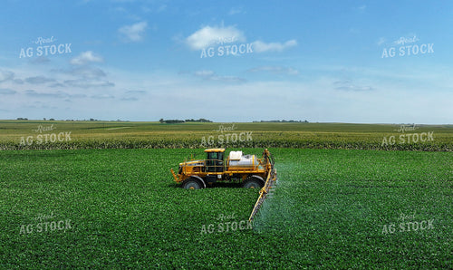 Spraying Corn 141376