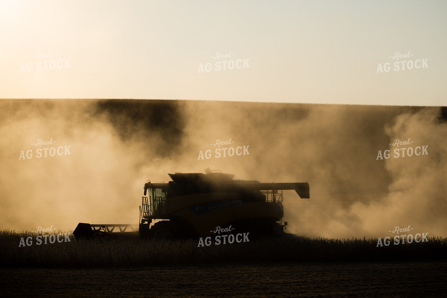 Soybean Harvest 215122