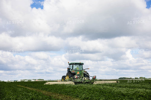 Mowing Hay 152431