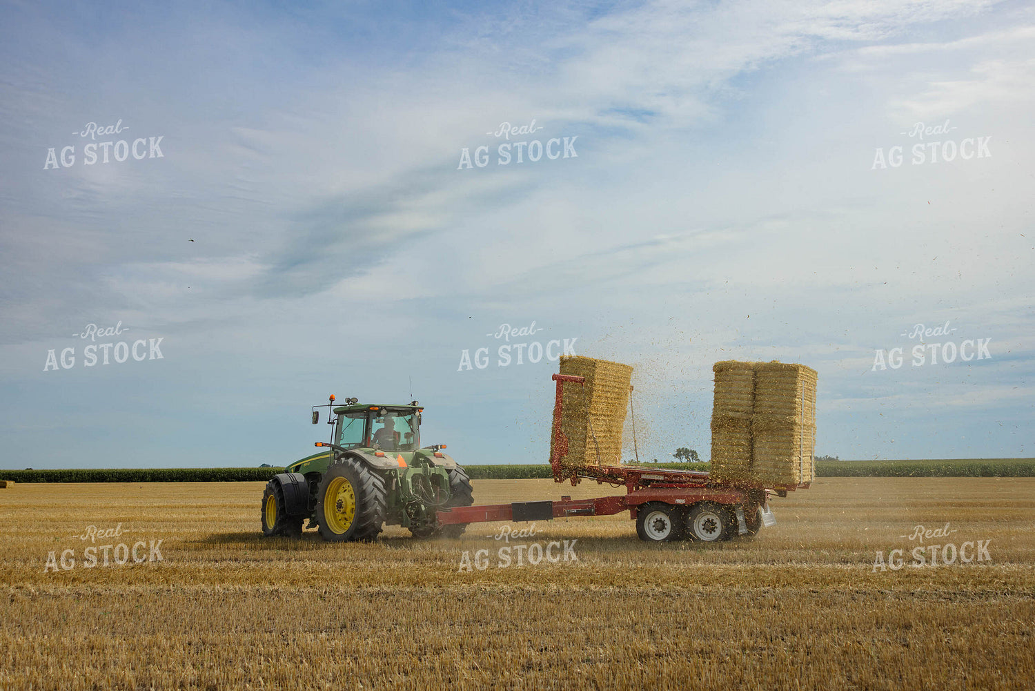 Loading Wheat Straw Bales 296061