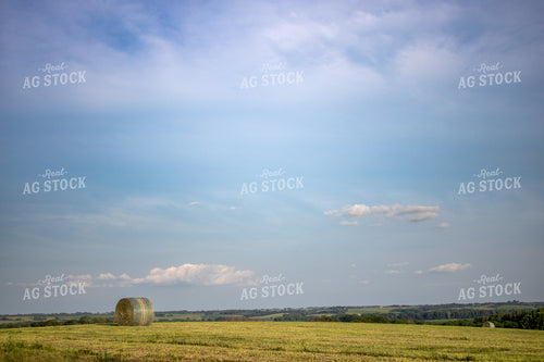 Scenic Hay Field 214239