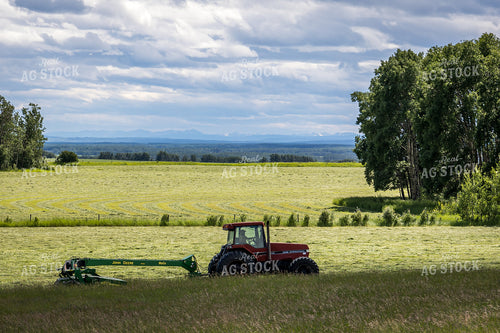 Cutting Hay 138156