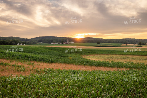 Summer Sunset Landscape 270248