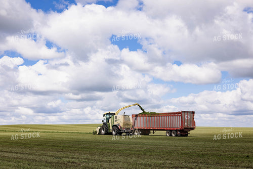 Harvesting Hay Silage 152460