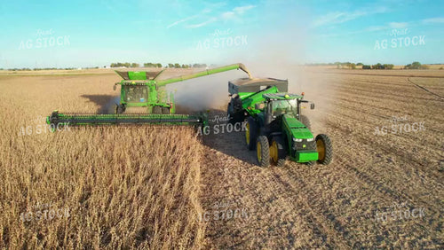 Soybean Harvest 65133