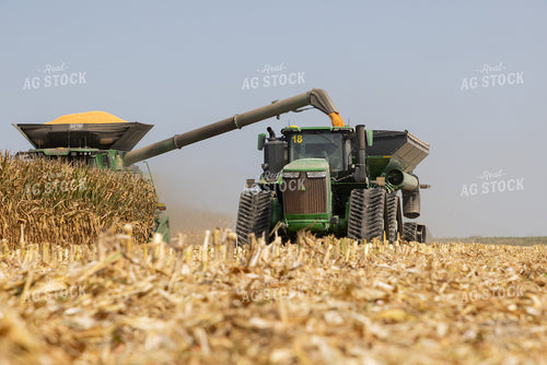 Corn Harvest 79826