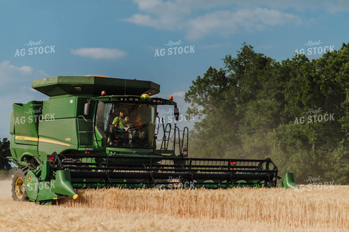Wheat Harvest 115182