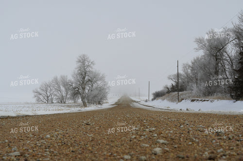 Snowy Gravel Road 65018