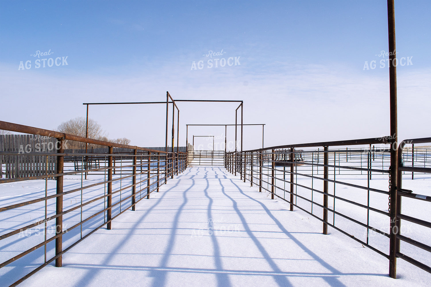 Empty Cattle Pen 50034