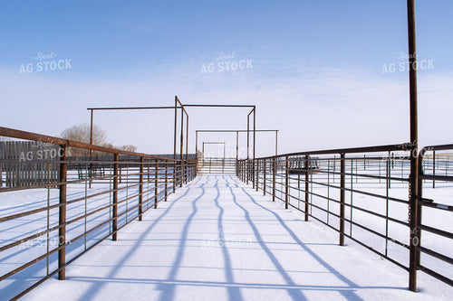 Empty Cattle Pen 50034
